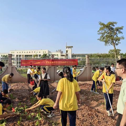 爱在深秋 劳动光荣-罗定实验中学2023年秋季学期亲子实践活动