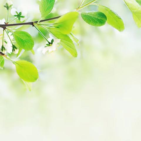 创建国家食品安全示范城市 共享绿色和谐魅力幸福许昌