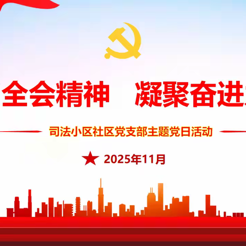 贯彻全会精神，凝聚奋进力量——等驾坡街道司法小区社区党支部11月主题党日活动
