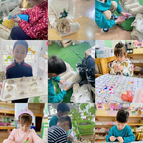 春日花朝，共赴花花日“迹”—-大一班亲子半日游&花花游园会活动精彩回顾