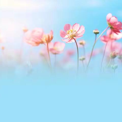 “安全七色花”之橙色篇 | 暑期安全课⑮