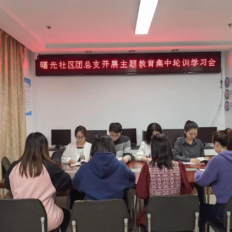 曙光社区团总支开展主题教育集中学习会