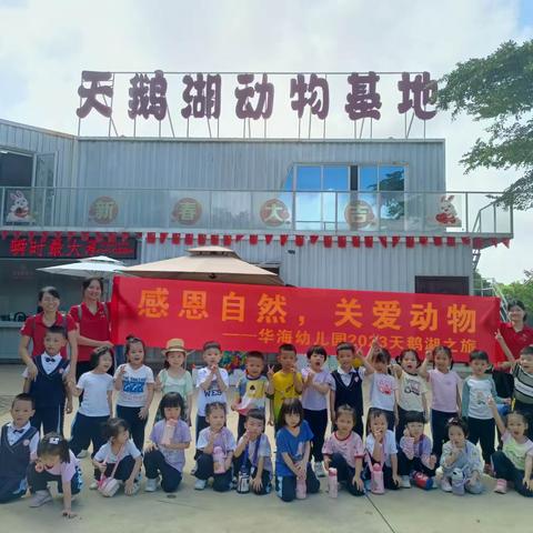 🌟感恩自然、关爱动物——华海幼儿园中二班游学之旅💕