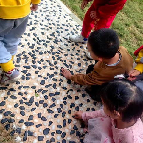 《春日石趣》——小5班“春日石头探索”精彩瞬间回顾