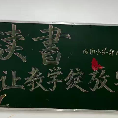 读书，让教学绽放异彩——临汾市向阳学校小学部四年级组教师读书分享活动