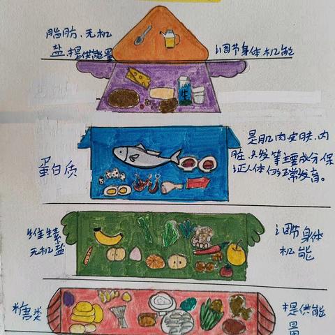 执笔画营养，科学伴成长——四年级平衡膳食宝塔制作之旅