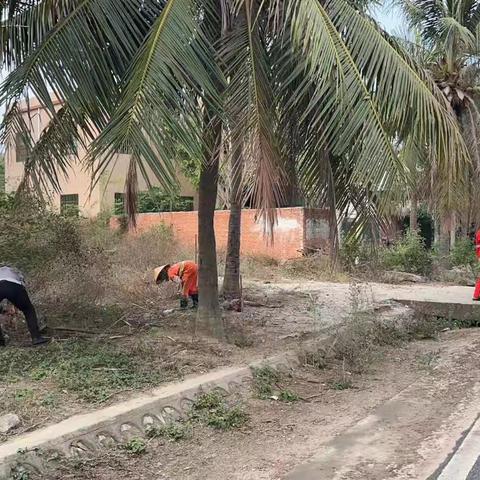 龙卧村开展卫生整治工作