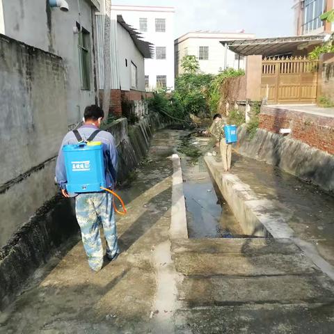 新龙镇龙卧村开展登革热环境卫生整治