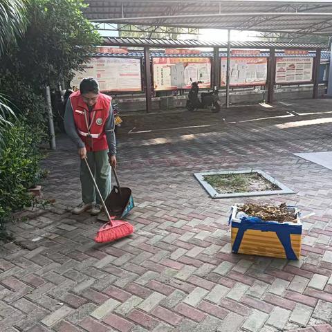 新龙镇龙卧村开展环境卫生清理