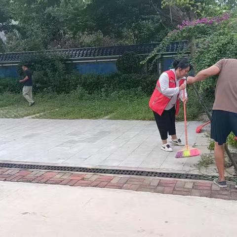 新龙镇龙卧村网格员协助环卫工人清理人居环境卫生