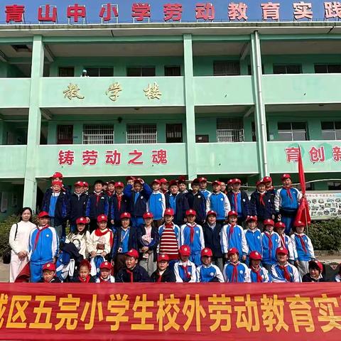 实践砺本领  劳动蕴担当——城区五小四年级256班