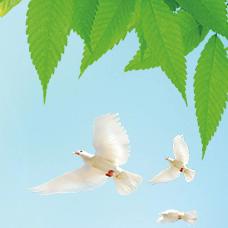 2025年象形乡小学暑期安全提示