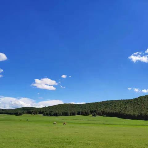 星耀少年旅行家——游乌兰布统，赏草原美景