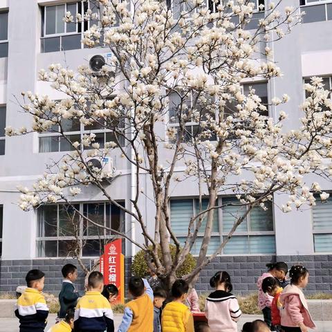 青州市北关幼儿园小四班——《春暖花开，快乐成长》