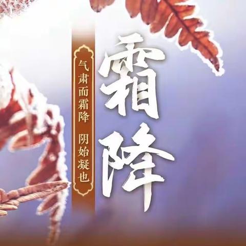 💦“霜降至，露成霜”💦师范附属幼儿园二十四节气活动