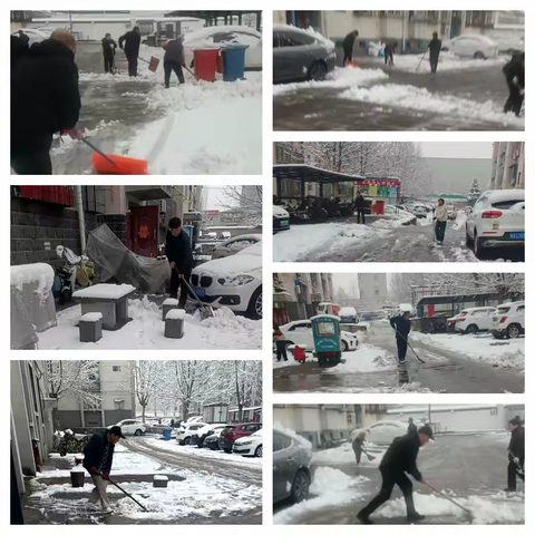 【双争进行时】翠岗苑社区：瑞雪纷飞至 清雪暖人心