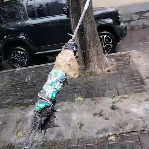 网格员巡查排隐患，及时处置护平安