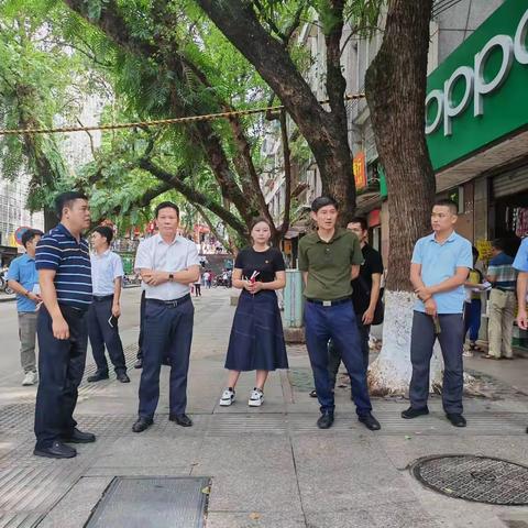 陈国梁带队督查国家卫生城市复审工作