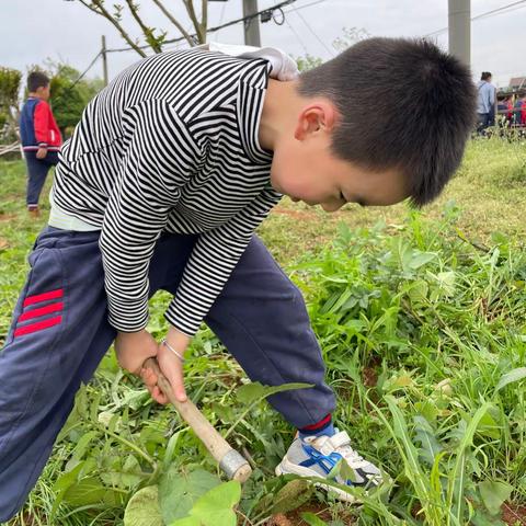 春日来信