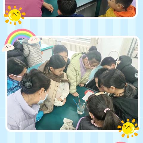 2024年 五年级上学期（4）12.25