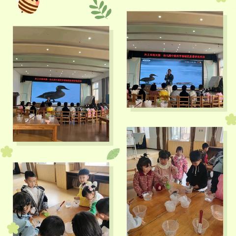 探索科学奥秘，点亮童年智慧——兴义市南兴第一幼儿园科学领域（科学探究）优质课评选活动