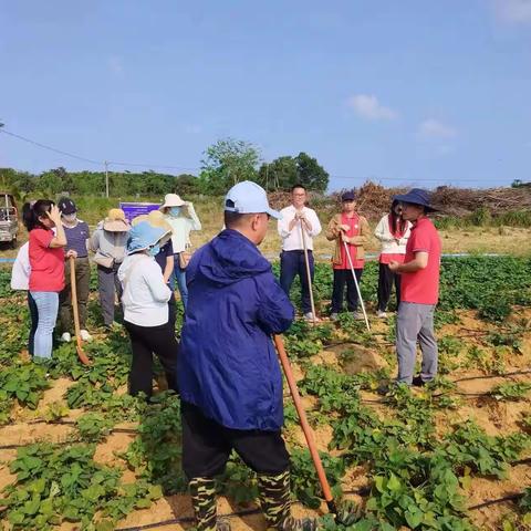 党建引领聚合力  化肥减量增效促发展