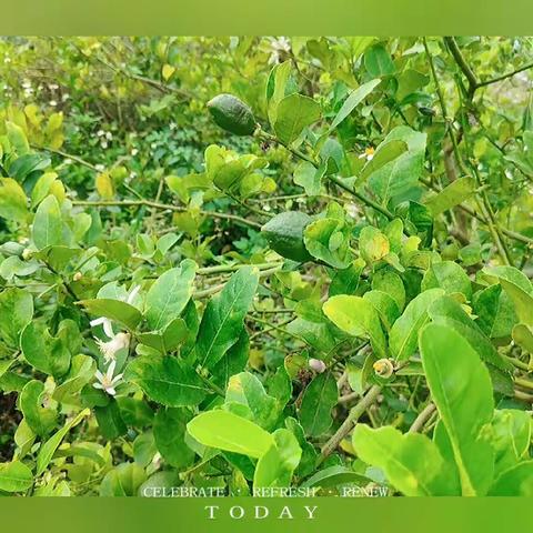 春日好时光，一起“趣”春游—南饶小学附属幼儿园春游活动🌷