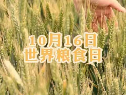 与秋相遇，不负“食”光——东门口幼儿园“世界粮食日”主题教育活动