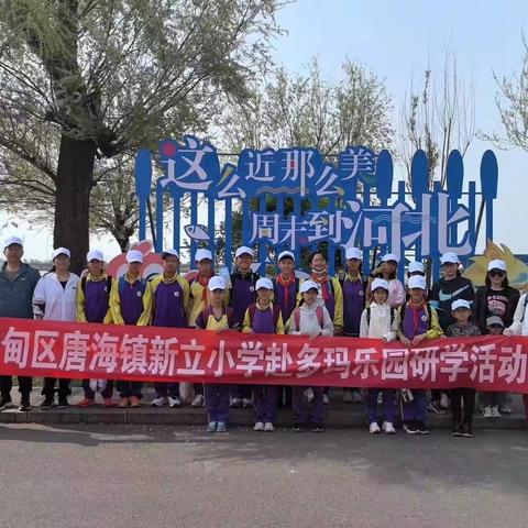 春光无限好！曹妃甸区新立小学多玛乐园研学活动纪实。