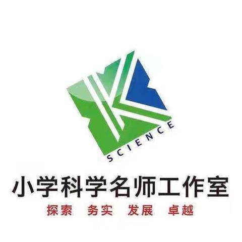 市区联动，协同教研——记滨城区小学科学工作室参加市工作室协同教研活动