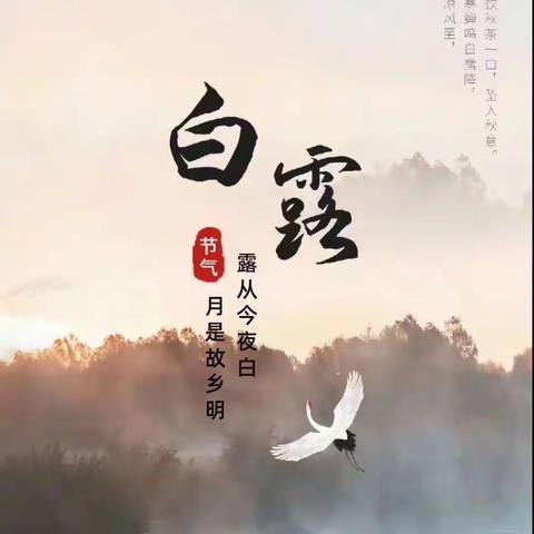 秋意渐浓，白露初露——长塘镇现代幼儿园“白露”节气活动