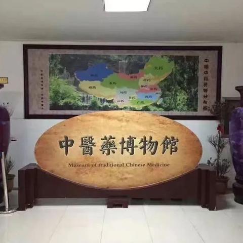 跟着课本“趣”研学 蓓蕾托管《户外大课堂》一一中医药学童