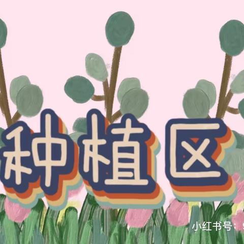 幼”见春光“植”得期待——兴安幼儿园植物🌳角