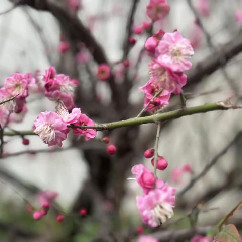 省烟草2月份工作汇报