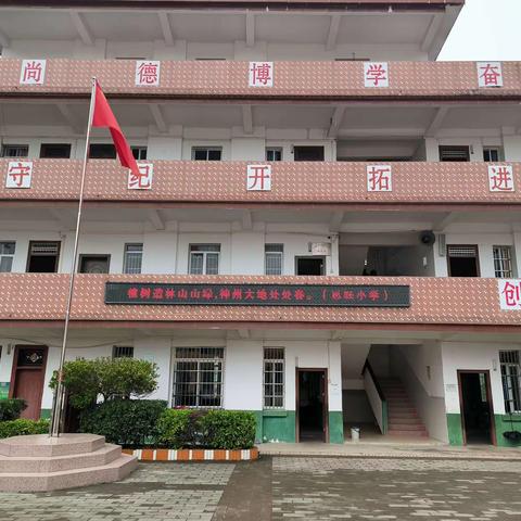 爱护校园树，“树”你最棒——容县自良镇思旺小学开展“爱树、护树”活动