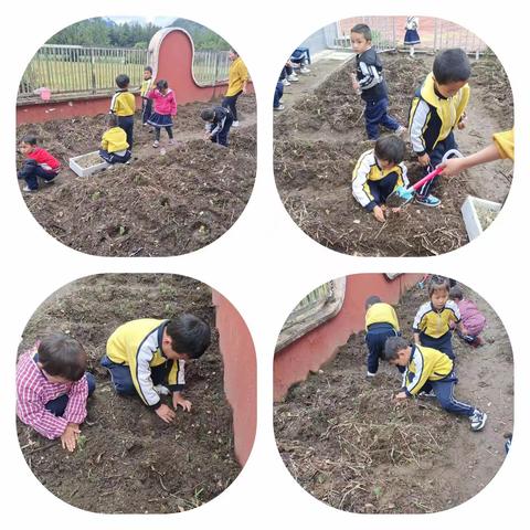 小小种植区，童心同行不同寻——扎木镇东绕村双语幼儿园种植区