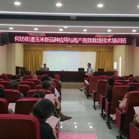 “贷”动农业现代化，助力脱贫奔小康—支持乡村振兴，惠民农商何坊支行在行动