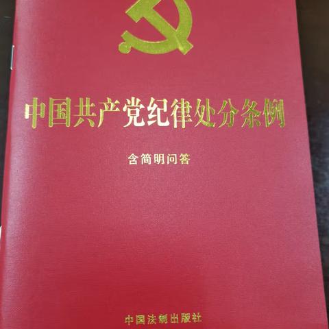 中共海口市综合行政执法局交通港航行政执法支队第一支部委员会5月份主题党日会议