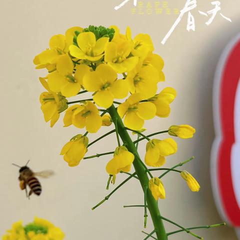 春暖花开，学农正当时