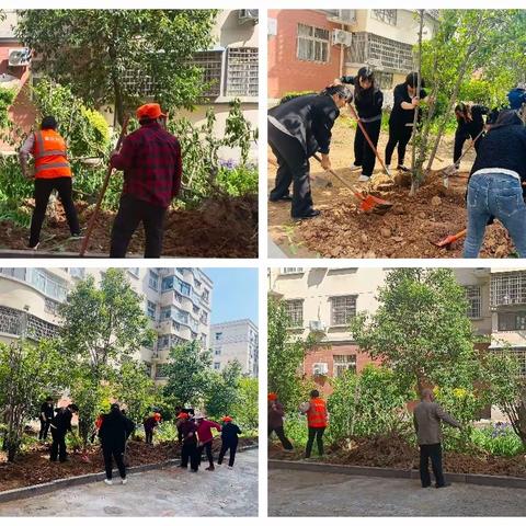 富民路社区“绿化环境，美化社区”植树活动