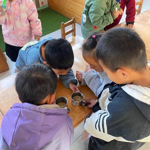 豆芽成长记》 幼儿园学习故事 一、故事背景 在幼儿园的自然角，我们投放了一些绿豆种子，希望孩子们能通过亲身体验观察植物的生长过程，了解生命的奇妙。近期，班级开展了一项有趣的活动———生豆芽