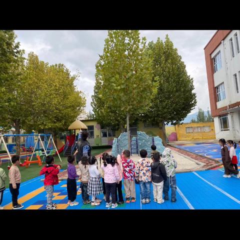 《落叶飘飘》——九山镇八一幼儿园中班第七周主题活动