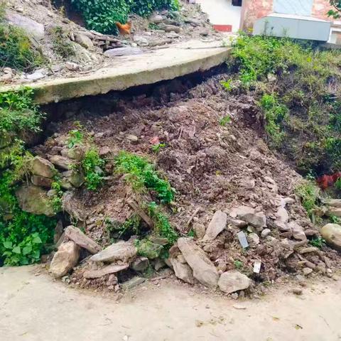 党建引领聚合力 畅通民生幸福路