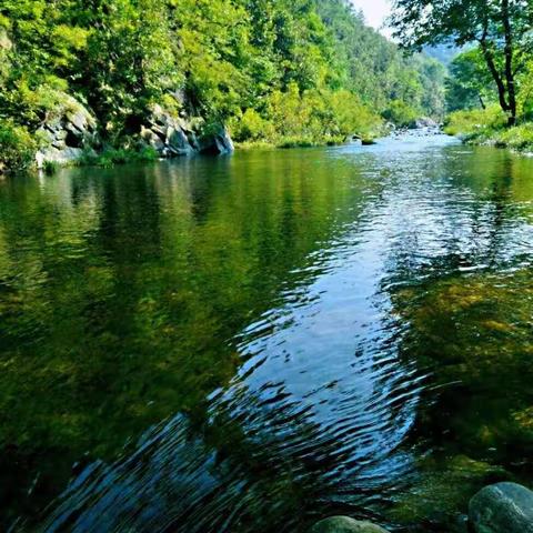 青山绿水就是金山银山