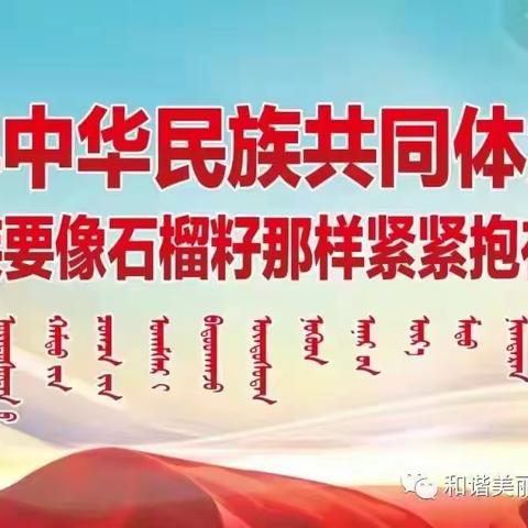 鄂温克民族苏木孟根诺尔嘎查妇联《铸牢中华民族共同体意识》专题学习