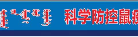 鄂温克民族苏木孟根诺尔嘎查妇联防鼠疫宣传活动