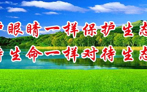 【“三抓三促”行动进行时】庄浪县通边林场组织开展森林草原火灾应急扑救演练活动