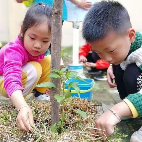 “展劳动之美 享劳动之乐”——东山坝镇公立幼儿园五一劳动节活动