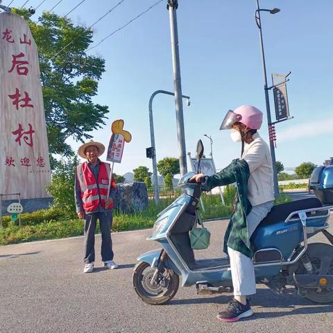 南马马宝菊的简篇