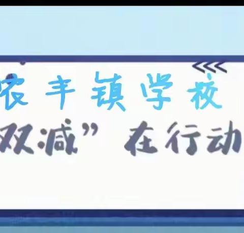 哈尔滨市双城区农丰满族锡伯族镇学校督导检查工作汇报